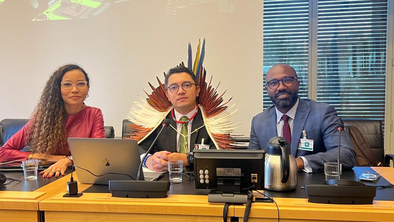 Delegação brasileira em Genebra responde peritos sobre cumprimento de obrigações do Pacto Internacional sobre Direitos Econômicos, Sociais e Culturais
