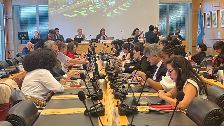Em Genebra, delegação brasileira encerra participação na sessão do Comitê de Direitos Econômicos, Sociais e Culturais da ONU