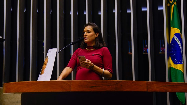 Marina Basso representou o Ministério na sessão