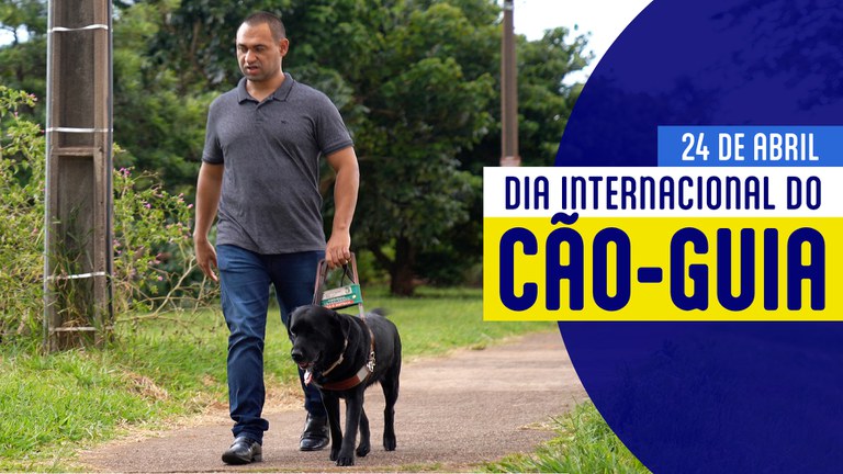 Treinamentos de cães-guia poderão ser fortalecidos com novos investimentos