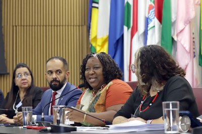 Ministra afirmou que a data valida a existência e a vocação pelas liberdades individuais e a luta coletiva pela garantia de direitos (Foto: Clarice Castro/MDHC)