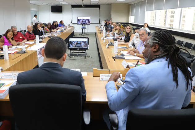 O CNDPI possui 36 membros paritários entre governo e sociedade(Foto: Clarice Castro - Ascom/MDHC)