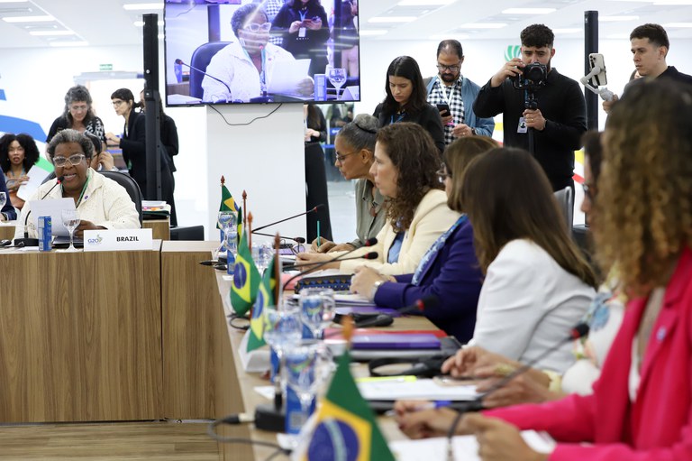 Macaé Evaristo debate desafios do enfrentamento às desigualdades em GT de Mulheres do G20