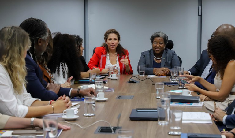 Ministra interina Esther Dweck e futura ministra Macaé Evaristo conhecem equipe dos Direitos Humanos e da Cidadania