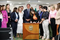 Protege Brasil: Governo Federal institui programa de proteção integral da criança e do adolescente