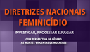 Diretrizes Nacionais Feminicídio