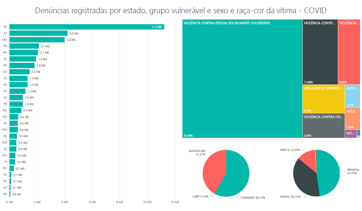 Denúncias registradas por estado, grupo vulnerável e sexo e raça-cor da vítima-COVID