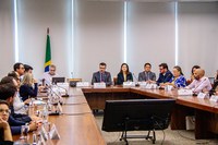 Comitê propõe acordo de cooperação com estados para replicar economia de impacto em todo o país