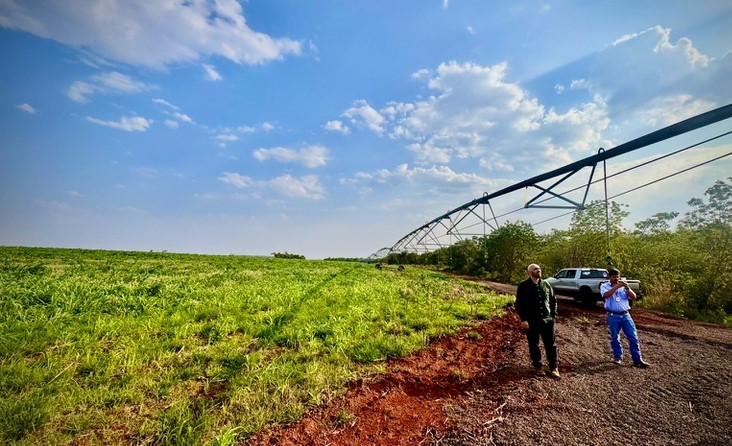 Brasil já conta com 15 polos de agricultura irrigada