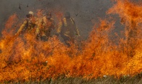 Condições especiais de crédito para prevenção de incêndios e recuperação de áreas queimadas