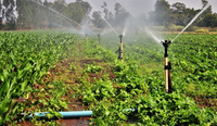 Conheça as principais ações do MIDR na área de irrigação