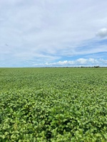 Empresa poderá captar até R$ 182,1 milhões para expansão de área irrigada na Bahia