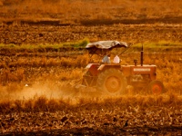 Fundo de Financiamento do Nordeste terá R$ 47 bilhões para 2025