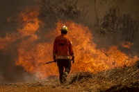 Governo Federal cria força-tarefa para o combate a incêndios florestais