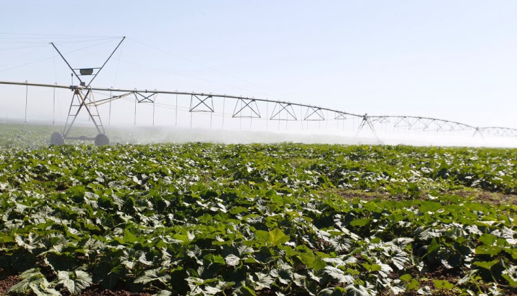 PNRH Agricultura e irrigação