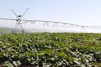 Governo Federal e instituições debatem importância da agricultura irrigada na produção sustentável de alimentos