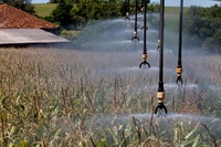 MDR promove 1º Seminário Nacional de Agricultura Irrigada em Pequenas Propriedades