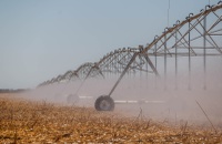 MIDR fortalece a produção agrícola irrigada por meio de incentivos fiscais