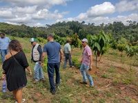 MIDR vai investir mais R$ 1 milhão para fortalecer polo da Rota do Cacau no Pará