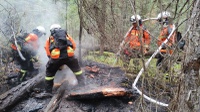 Missão humanitária brasileira ao Canadá já iniciou combate a incêndios florestais