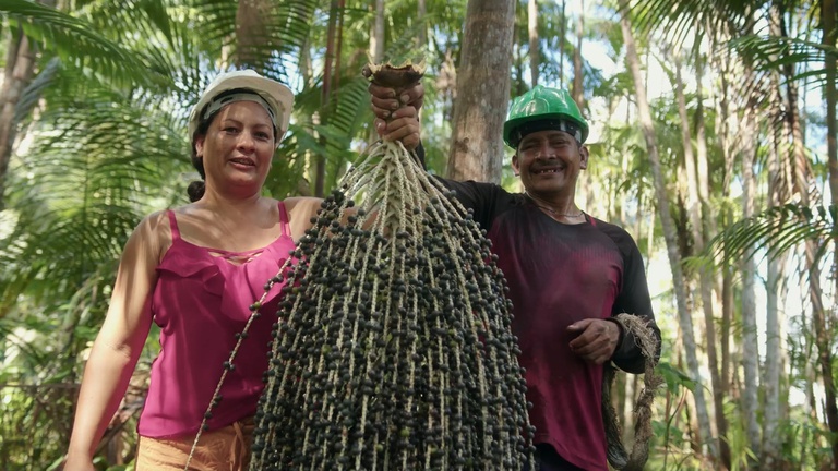 No Amapá, MIDR realiza missão para criar polo da Rota do Açaí no  Arquipélago do Bailique — Ministério da Integração e do Desenvolvimento  Regional