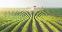 R$ 120 milhões para financiar produção de alimentos no Amapá