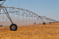 Saiba como receber incentivos do MIDR para produção agrícola irrigada