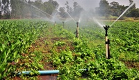 Prazo para manifestação de interesse para a elaboração de estudos de três projetos de irrigação é prorrogado