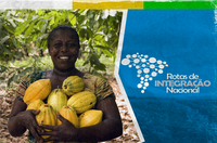 Produtores de umbu-cajá vão trocar experiências sobre manejo e produção da fruta em Alagoas