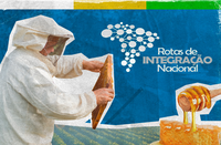 Rota do Mel amplia as possibilidades de mercado para apicultores em nove estados brasileiros