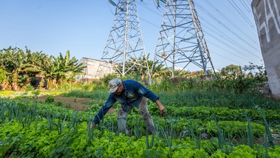 05092022_agricultura_periurbana.jpg