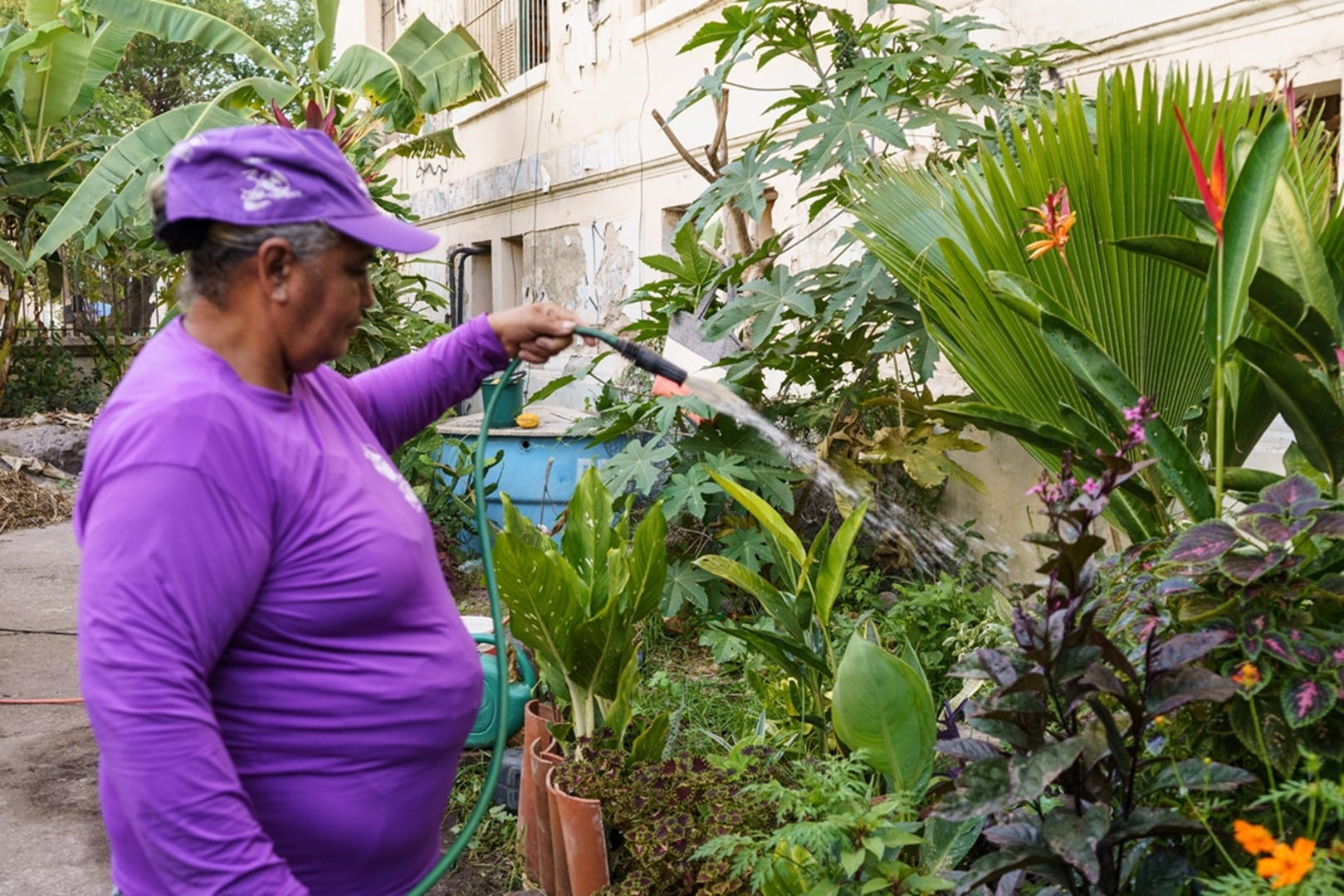 MDS apoia inciativas que preservam o meio ambiente, promovem a autonomia feminina, a economia circular e a alimentação saudável