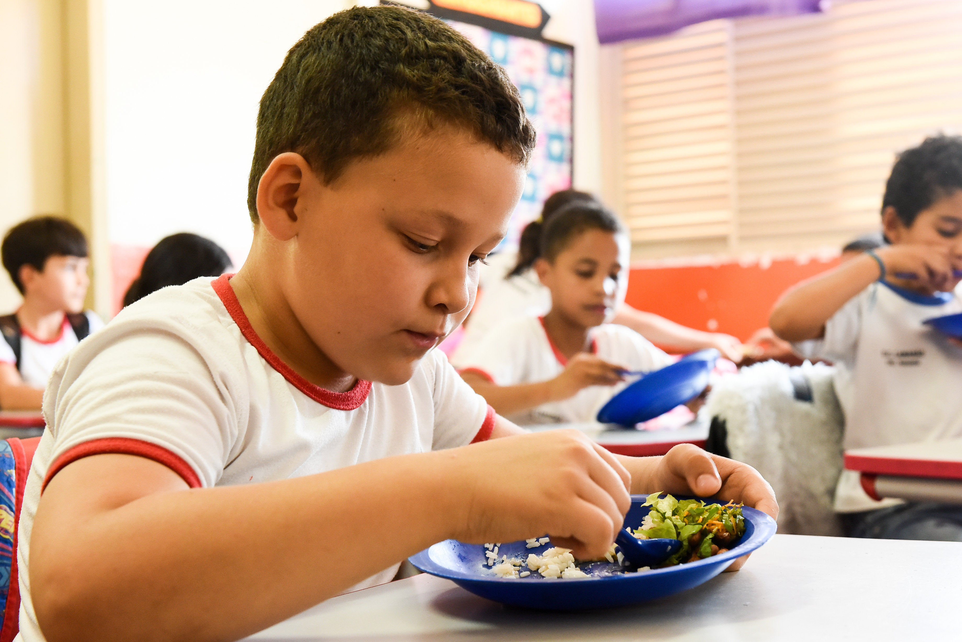 Alimentação Escolar DRE- BT