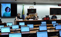 Câmara debate ensino da história afro-brasileira e indígena