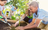 Política Nacional de Educação Ambiental é atualizada