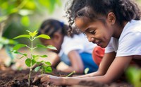 MEC trabalha em ações para fortalecer a educação ambiental