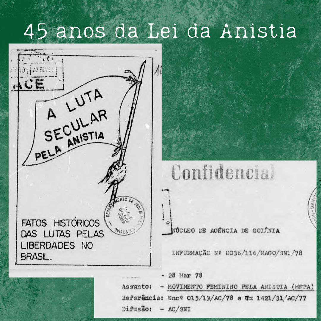 Lei Anistia 3