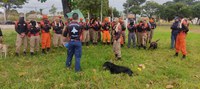 Bombeiros recebem treinamento para atuar em resgate com a ajuda de cães