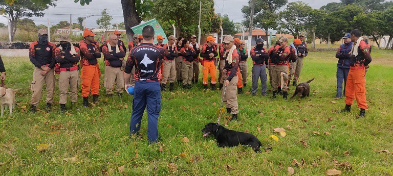 Bombeiros são capacitados pelo Ministério da Justiça para atuar com cães em desastres naturais.jpeg