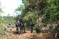 Força Nacional apoiará ações de combate ao desmatamento por mais 180 dias