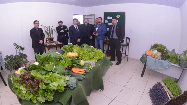 chapeco_moro_hortifruti.jpg