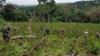 Políticas antidrogas do MJSP avançam com leilões de bens confiscados, apreensões de drogas e novo modelo de gestão de ativos