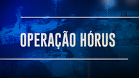 Operação Hórus completa três meses e evita lucro de mais de R$ 2 bi a organizações criminosas