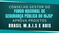 Conselho Gestor do Fundo Nacional de Segurança Pública do MJSP aprova projetos Brasil M.A.I.S e ABIS