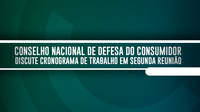 Conselho Nacional de Defesa do Consumidor discute cronograma de trabalho em segunda reunião