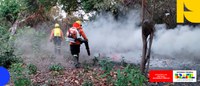 Efetivo completo da Força Nacional chega ao MS para combater incêndios florestais no Pantanal