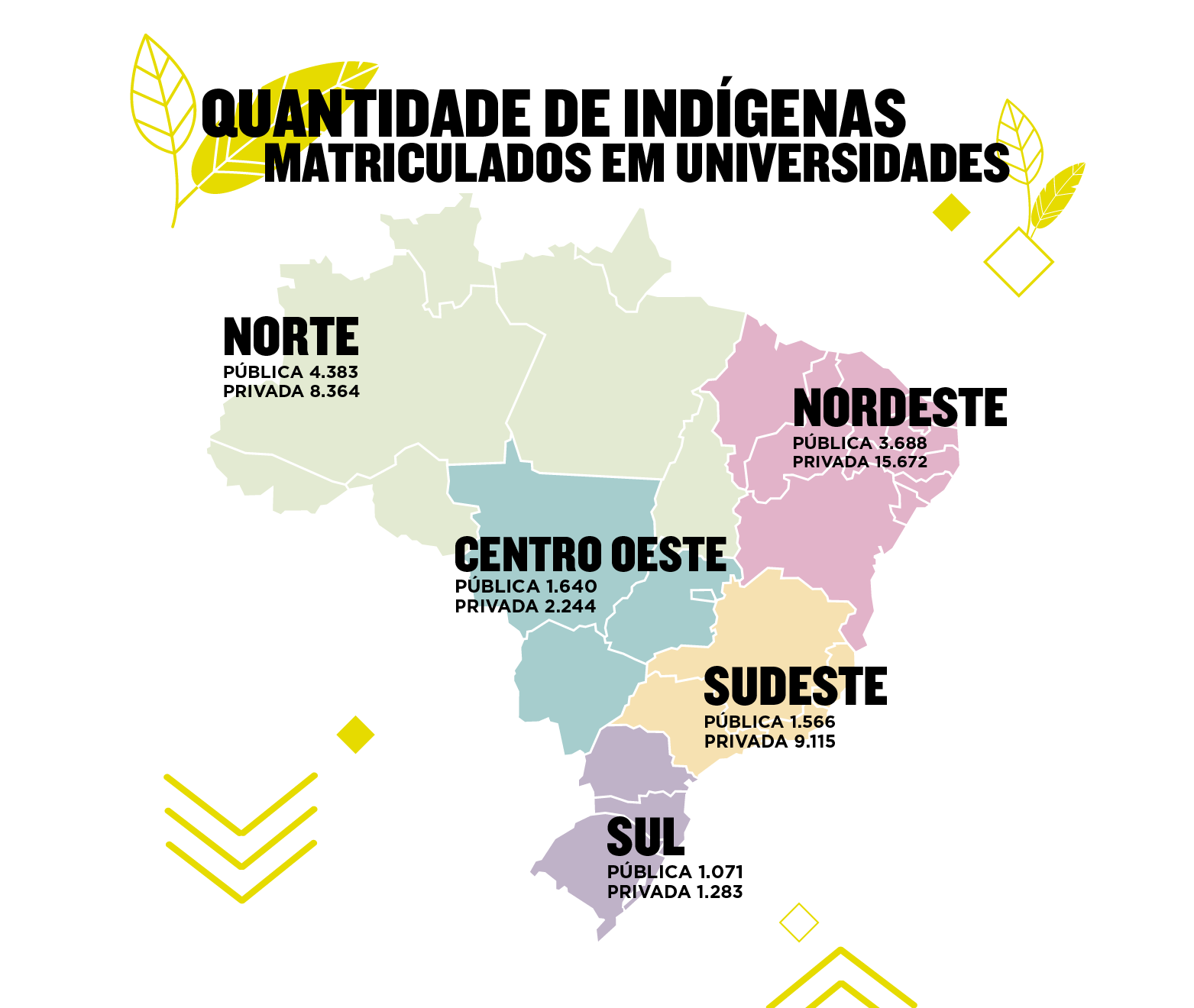 Indígenas nas universidades