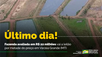 Fazenda localizada no Mato Grosso será leiloada nesta segunda-feira