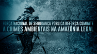 Força Nacional de Segurança Pública reforça combate a crimes ambientais na Amazônia Legal