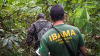 Força Nacional e Ibama alinham ações em Novo Progresso